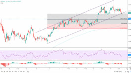 الدولار النيوزلندي يتأثر بالعزم السلبي 30-07-2020