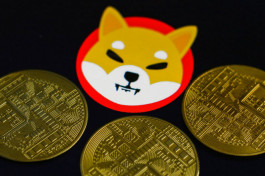 "Shiba Inu" Coin Exceeds Expectations and Exceeds "Dodge Coin"