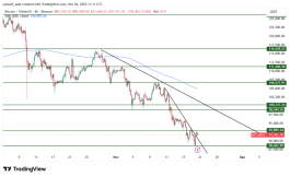 BTC - November 20, 2025