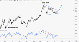 Ultra Group Share - July 29