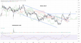 سهم رول (ROLL) - 16 يوليو