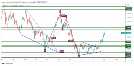 TSLA - 3 اغسطس 2022