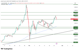 GOLD - 24 فبراير 2026