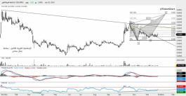 DFMGI Technical Report - 3 January