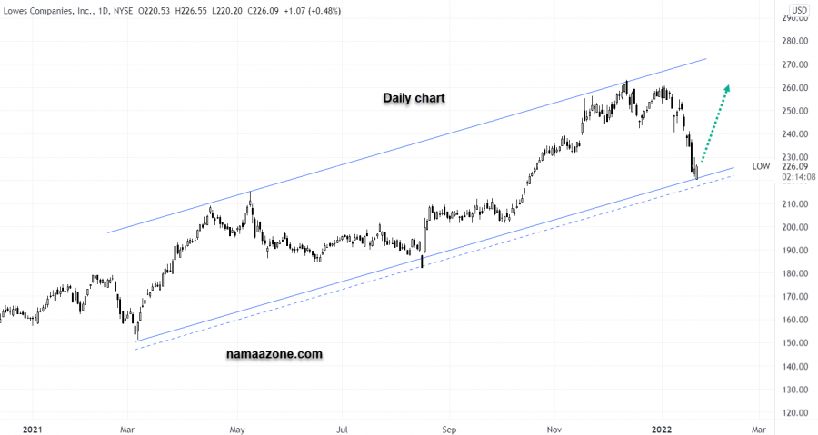 سهم لوز - 24 يناير