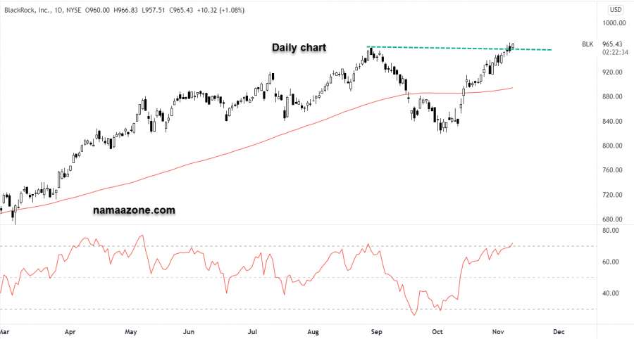 BlackRock Stock - November 08