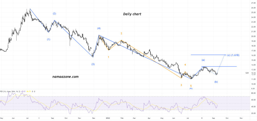 شركة تكوين المتطورة للصناعات (1201) - 12 سبتمبر