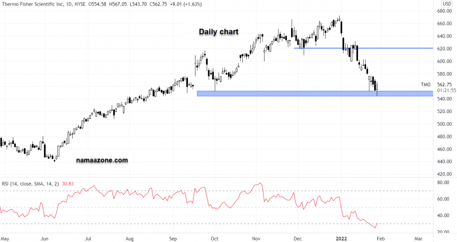 NamaaZone | Thermo Fisher Scientific Inc Stock - January 28